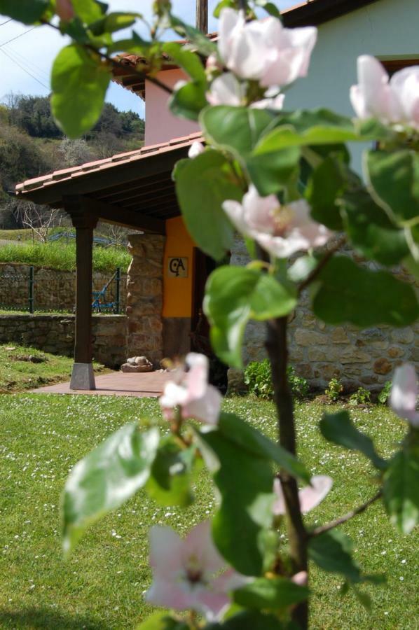 הוילה El Llano Casa Del Sella מראה חיצוני תמונה